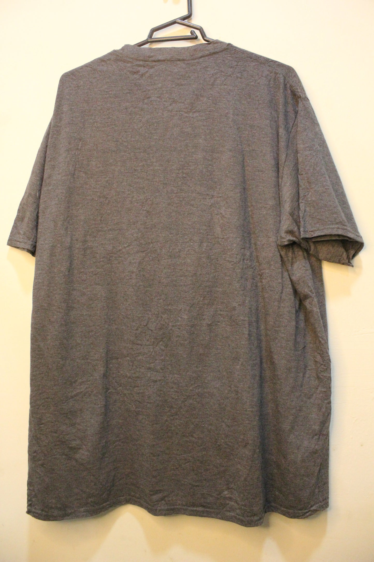 Minnesota Vikings Football Shirt Mens XL Short Sleeve Crew Neck Front Graphic