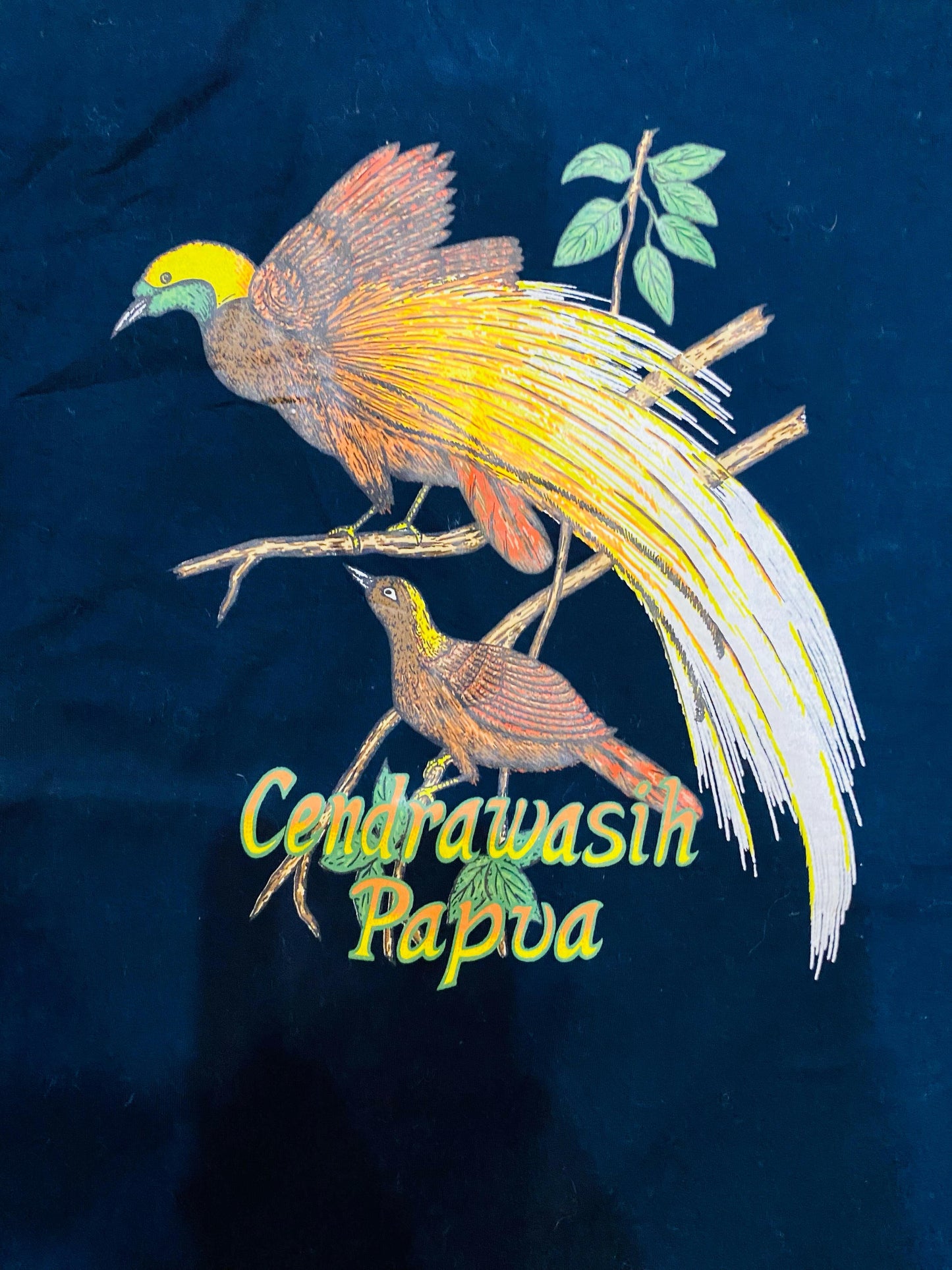 Krel Grapich Print of Gendrawaih Papua Shirt